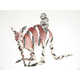 Hauntingly Evocative Animal Portraits Image 3