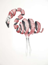 Hauntingly Evocative Animal Portraits Image 5