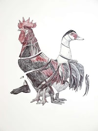 Hauntingly Evocative Animal Portraits Image 6