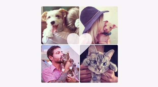 Social Animal Adoption Campaigns
