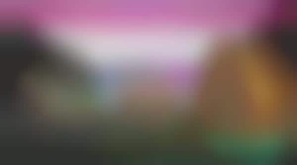 Bizarre Art-Projecting Cats (UPDATE)