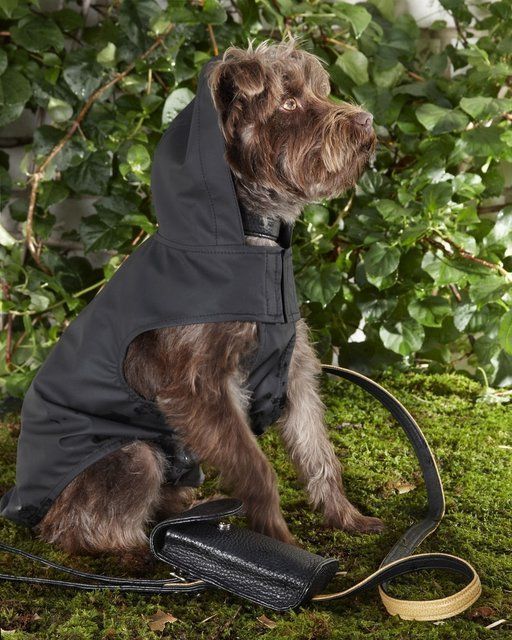28 Chic Coats for Pets