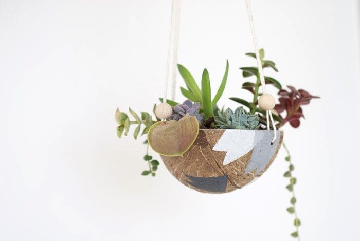 Upcycled Coconut Planters
