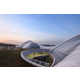 Undulating Divers Biomes Image 5