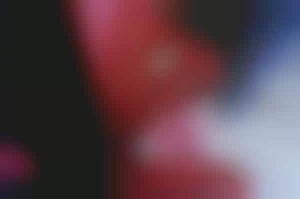 Deceptive Anthropomorphic Photos