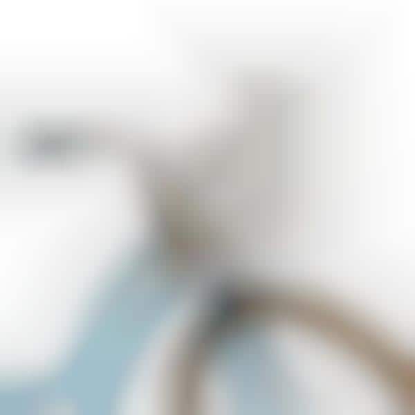Front-Fastened Bike Bags