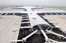 Futuristic Fish-Shaped Airports