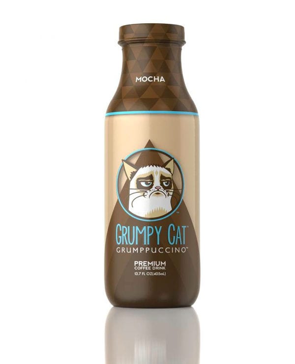 13 Humorous Grumpy Cat Products