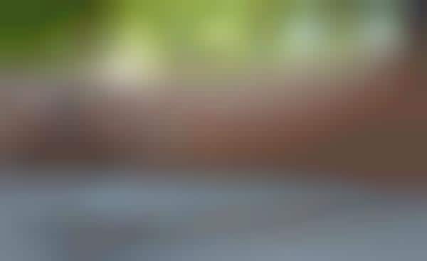 Instant Insect -Vaporizing Gadgets