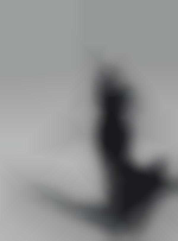 Desert Diva Captures