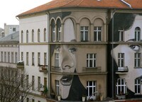 Ravishing Beauty Murals Image 3