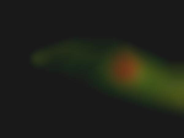 Slithery Snake Flashlights