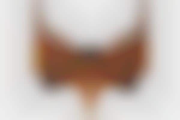 Bank-Breaking Bejeweled Bras