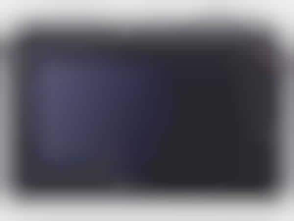 Mirrorless Digital Cameras