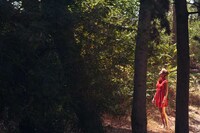 Introspective Fairy Tale Photography Image 8