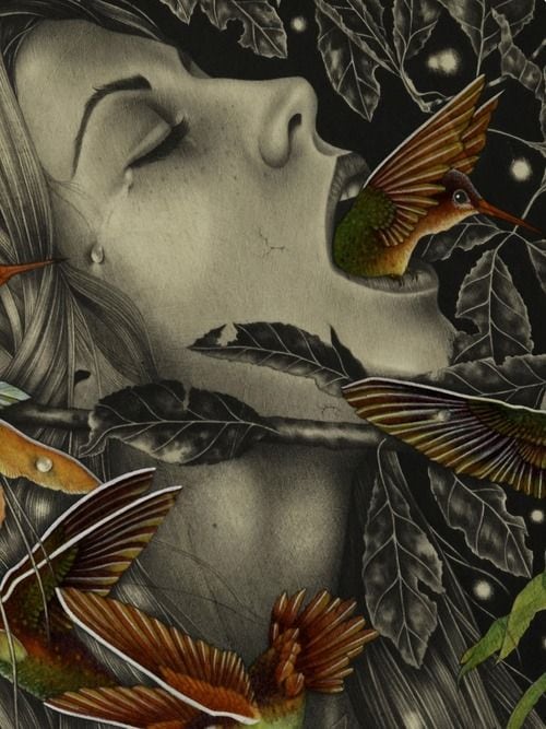Emotive Reincarnation Illustrations