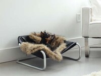 Extravagant Pet Furniture Image 3