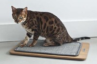 Extravagant Pet Furniture Image 5