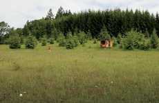 Nature-Inspired Writer Workspaces