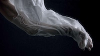 Sublime Molten Wax Exhibitions Image 5