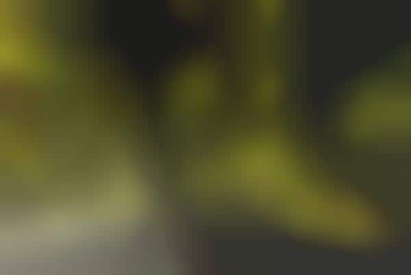 Illusionary Light Projections