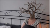 Embodied Dream Manifestation Videos Image 5