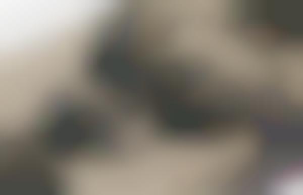 Sad Lumberjack Packaging