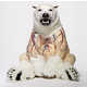 Skinless Bear Sculptures Image 2