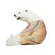 Furless Anatomic Bear Sculptures Image 2