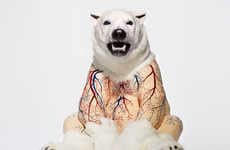 Inside-Out Taxidermy