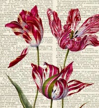 Vintage Dictionary Prints Image 2