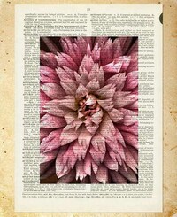 Vintage Dictionary Prints Image 3