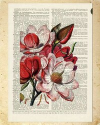 Vintage Dictionary Prints Image 4
