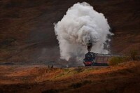Scenic Active Railway Photography Image 7