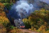 Scenic Active Railway Photography Image 8