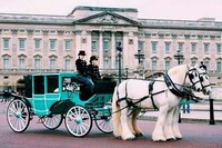 Branded Old World Carriages Image 2