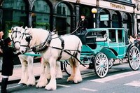 Branded Old World Carriages Image 3