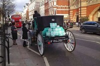 Branded Old World Carriages Image 4