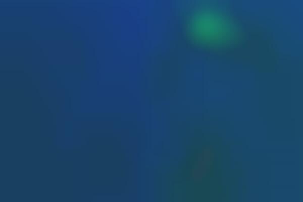 Interactive Digital Aquariums