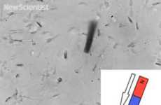 Robotic Fertilization Aids