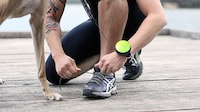Hand-Free Dog Leashes Image 3