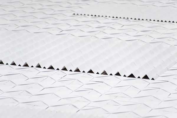 Expansive Pulp Rugs Image 2