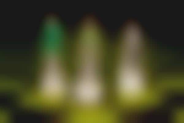 Meth-Dealing Chess Pieces