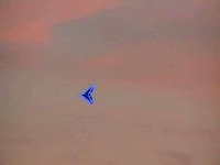 Remote-Controlled Crystallized Aircrafts Image 5