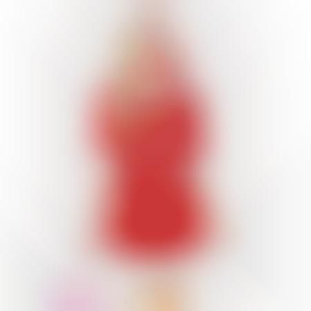 Sultry Barbie Christmas Costumes
