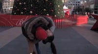 Romantic Holiday Mistletoe Drones Image 5