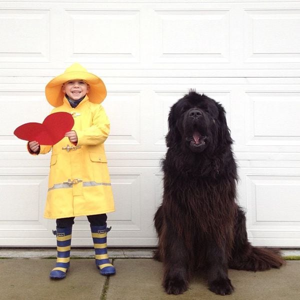 29 Heartfelt Pet Photographs