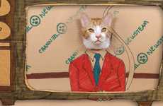 Feline News Anchor Videos