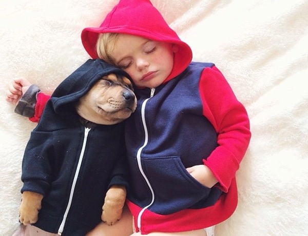 Top 100 Pet Trends in 2013