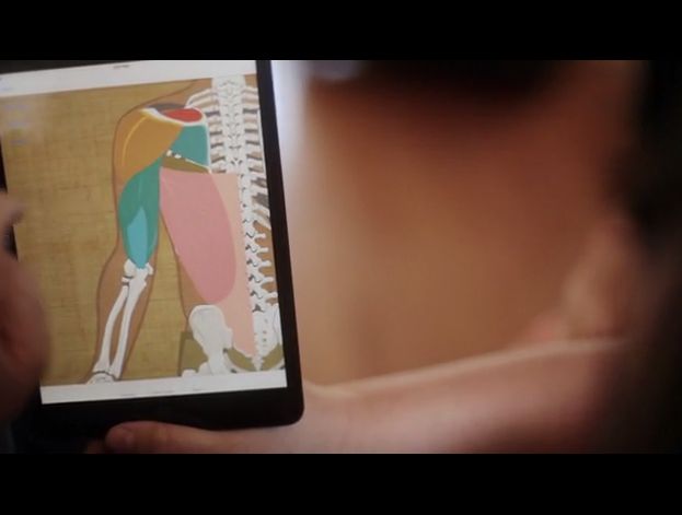 Educational Anatomy Apps